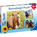 Ravensburger Koně 3 x 49 dílků