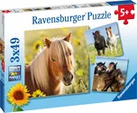 Ravensburger Koně 3 x 49 dílků