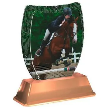 Cinkili Akrylátová trofej ACE2002M34 Dostihy Označení: C, Výška: 14 cm