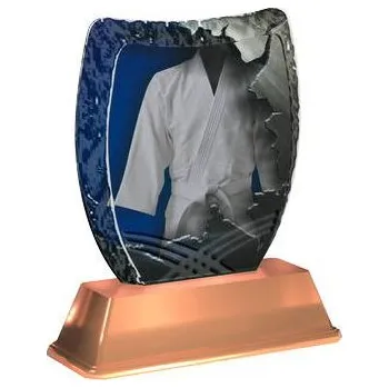 Cinkili Akrylátová trofej ACE2002M33 Karate Označení: C, Výška: 14 cm