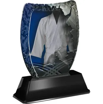 Cinkili Akrylátová trofej ACE2001M33 Karate Označení: C, Výška: 14 cm