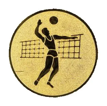 Cinkili Emblém CE019 volejbalista Velikost: 2,5 cm, Barva: Bronz