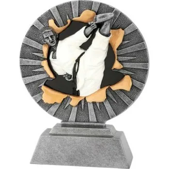 Cinkili Plaketa CFG1031 karate Výška 16cm