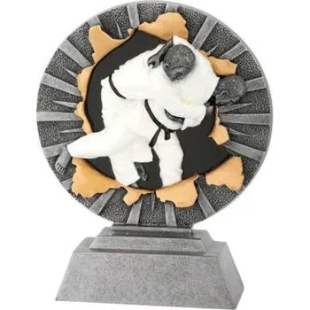 Cinkili Plaketa CFG1041 karate Výška 16cm