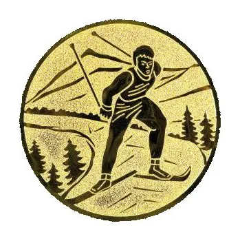 Cinkili Emblém CE159 lyžování Velikost: 2,5 cm, Barva: Zlato