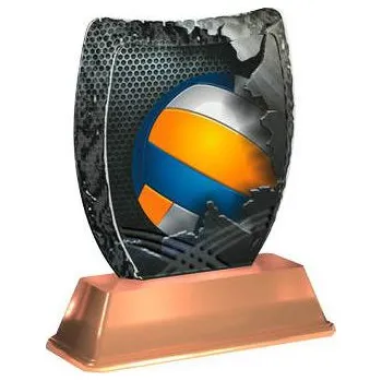 Cinkili Akrylátová trofej ACE2002M17 Volejbal Označení: C, Výška: 14 cm