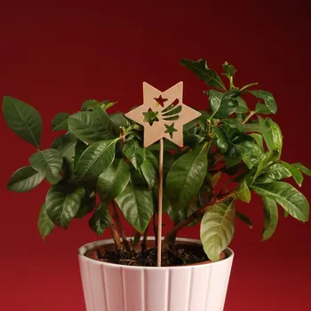 Vánoční dekorace Zápich - Hvězdička č.6