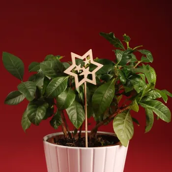 Vánoční dekorace Zápich - Hvězdička č.11