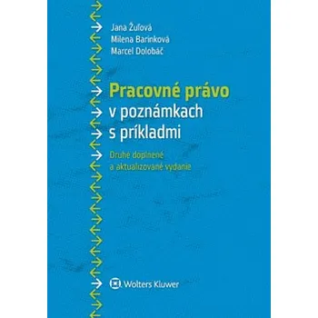 Pracovné právo v poznámkach s príkladmi - Jana Žulová, Milena Barinková, Marcel Dolobáč