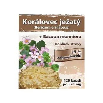 Přírodní produkt Naturgreen Korálovec ježatý extrakt 120 tbl.