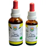 Salvia Paradise Saw palmetto…