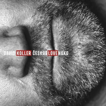 Česká hudba David Koller - ČeskosLOVEnsko [LP]