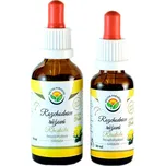 Salvia Paradise Rozchodnice růžová AF…