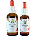 Salvia Paradise Lesklokorka lesklá AF…