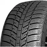 Evergreen EW62 205/65 R16 95 H