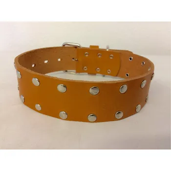 Obojek pro psa Ostatní Kožený obojek pro psa - ruční práce č.1 Velikost obojku: 40cm