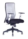 Office Pro Calypso XL BP