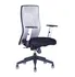 Office Pro Calypso XL BP