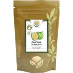 Salvia Paradise Garcinia cambogia prášek