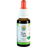 Salvia Paradise Gotu kola AF tinktura