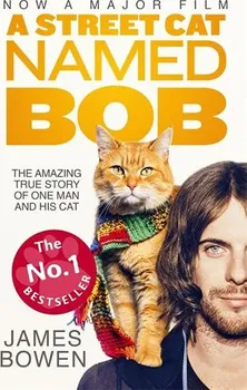 Cizojazyčná kniha A Street Cat Named Bob - James Bowen (EN)