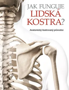 Jak funguje lidská kostra?: Anatomický ilustrovaný průvodce - Svojtka & Co.