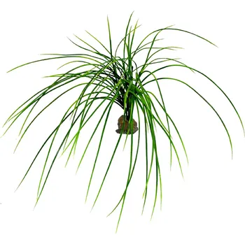 Dekorace do terária Lucky Reptile Congo Grass 50 cm