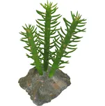 Lucky Reptile Cactus 3x 15 cm