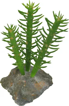 Dekorace do terária Lucky Reptile Cactus 3x 15 cm