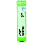 Boiron Ledum Palustre 5CH 4 g