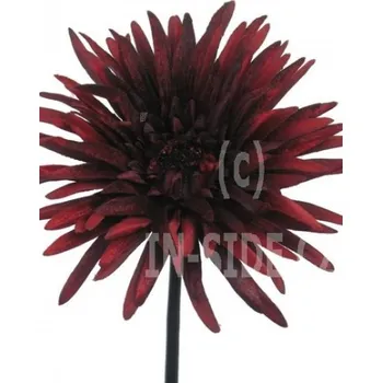 umělá květina Umělá květina, červená Gerbera