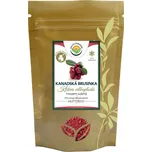 Salvia Paradise Kanadská brusinka mletá…