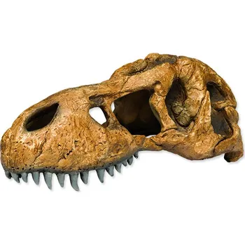Dekorace do terária Exo Terra T-Rex lebka 