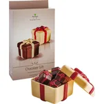 Forma na čokoládu PE (dárková krabička 110g) 2 tvary/forma, 2 formy