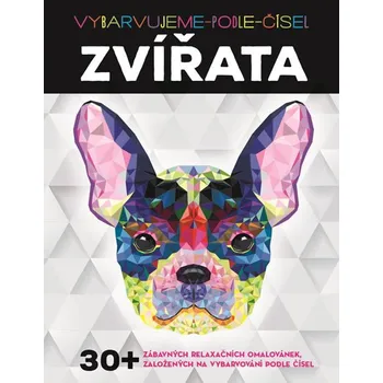 Zvířata: Vybarvujeme podle čísel - Svojtka