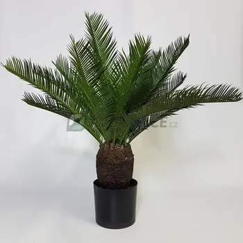 umělá květina Nieuwkoop europe Umělý Cykas 65 cm