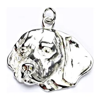 Přívěsek Stříbrný přívěsek, bígl, přívěšek ze stříbra, P 216