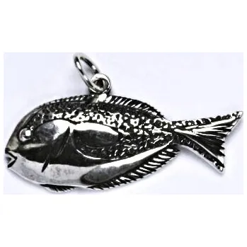 Přívěsek Stříbrný přívěšek korálové rybičky s patinou, ryba přívěsek ze stříbra P 135