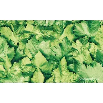 Tapeta Gekkofix Samolepící folie - Listy - imitace přírodního materiálu Varianta: Listy, šíře 67,5cm, balení 15m