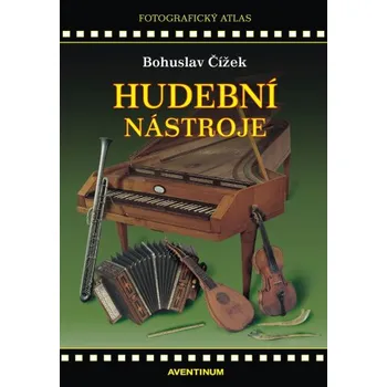 Umění Hudební nástroje - Bohuslav Čížek
