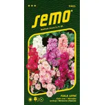 SEMO Fiala letní Mathiola směs 0,5 g