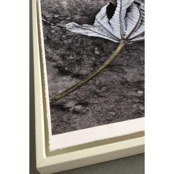 Fotopapír A2/25 William Turner 310 Deckle Edge Hahnemühle + DOPRAVA ZDARMA