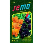 SEMO Maceška zahradní Clear Crystals…