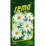 SEMO Kopretina bílá Shasta Daisy 0,8 g