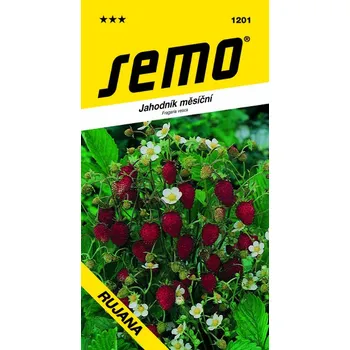 Pěstitelství SEMO Rujána jahodník měsíční 0,2 g