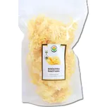 Salvia Paradise Rosolovka řasotvará