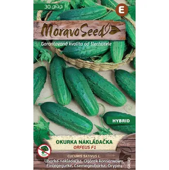 Semeno Moravoseed Okurka nakládačka Orfeus F1 30 ks