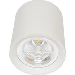 Ecolite LED MZ-DL-30W/BI