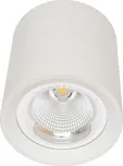 Ecolite LED MZ-DL-30W/BI
