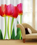 Dimex Tulipány fotozávěsy 140 x 245 cm